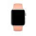 Apple Watch 42mm Flamingo Sport Band - S/M & M/L