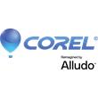 CorelDRAW Graphics Suite 2026 Business Perpetual License (incl. 1 Yr CorelSure Maintenance)(1-4)
