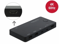Delock HDMI / USB-C™ KVM Switch 4K 60 Hz s USB 2.0