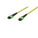 Digitus Fiber Optic Patchcord, MPO to MPO, Female OS2, Singlemode 09/125 µ, 20m, Method A Jacket: yellow, Housing: green