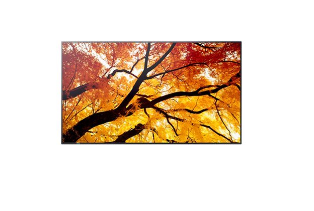 Sharp 86" MultiSync M862- 24/7, 550 cd, IPS LED, 3840x2160, 16:9, 8ms, 8000:1, DP, 2x HDMI, USB
